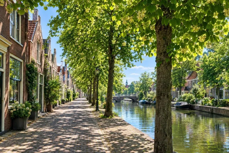 Een Hollandse gracht op een warme zomermiddag, met lindebomen en zonlicht dat door de bladeren op de stenen valt
