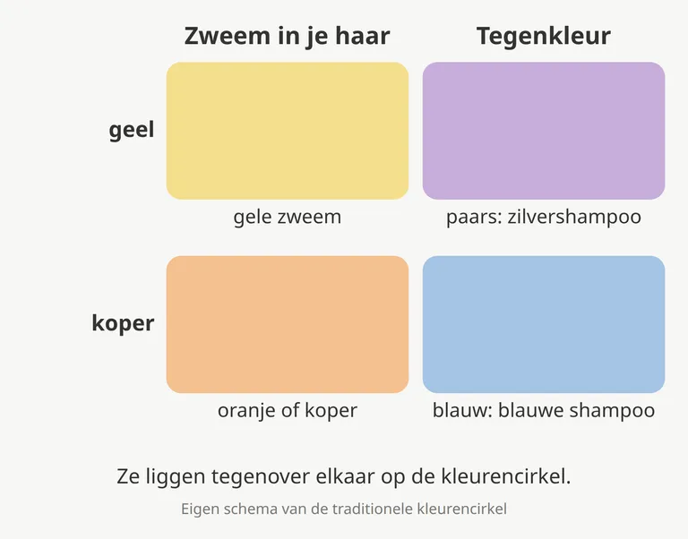 Schema met tegenkleuren: een gele zweem hoort bij paars (zilvershampoo), een oranje of koperen zweem bij blauw (blauwe shampoo). Ze liggen tegenover elkaar op de kleurencirkel.